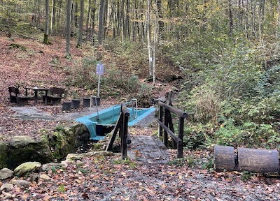 Wassertretanlage im Wiesbadener Stadtwald des Kneipp Vereins Wiesbaden e.v.