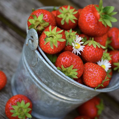 mymedaq Rezept - Topfen-Joghurt-Creme mit marinierten Erdbeeren